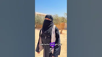 تعب يوم أمان عمر كامل 