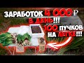 Очень,очень,очень выгодное выращивание с очень,очень,очень огромным спросом!!! Бизнес на черемше