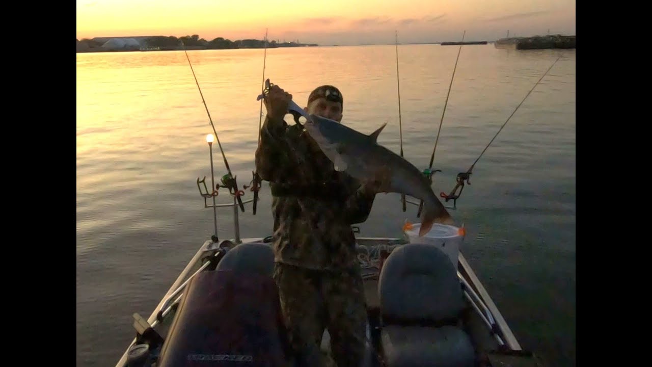 Fall Catfishing Using Buffalo Carp and Shad YouTube