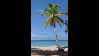 maine poocha chand se by dezman