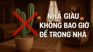 NGƯỜI GIÀU KHÔNG BAO GIỜ TRỒNG CÂY XƯƠNG RỒNG TRONG NHÀ - VÌ SAO?