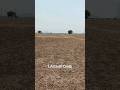 LAND ON SALE ...🔥1 ACRE 60 CENTS #amaravathi