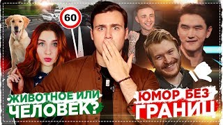 ПОПЕРЕЧНЫЙ ПРОТИВ КРИДА: ЮМОР ИЛИ ОСКОРБЛЕНИЯ? / ЛЮБАРСКАЯ ПРО ЖИВОТНЫХ: ЛЮДИ ПРОТИВ