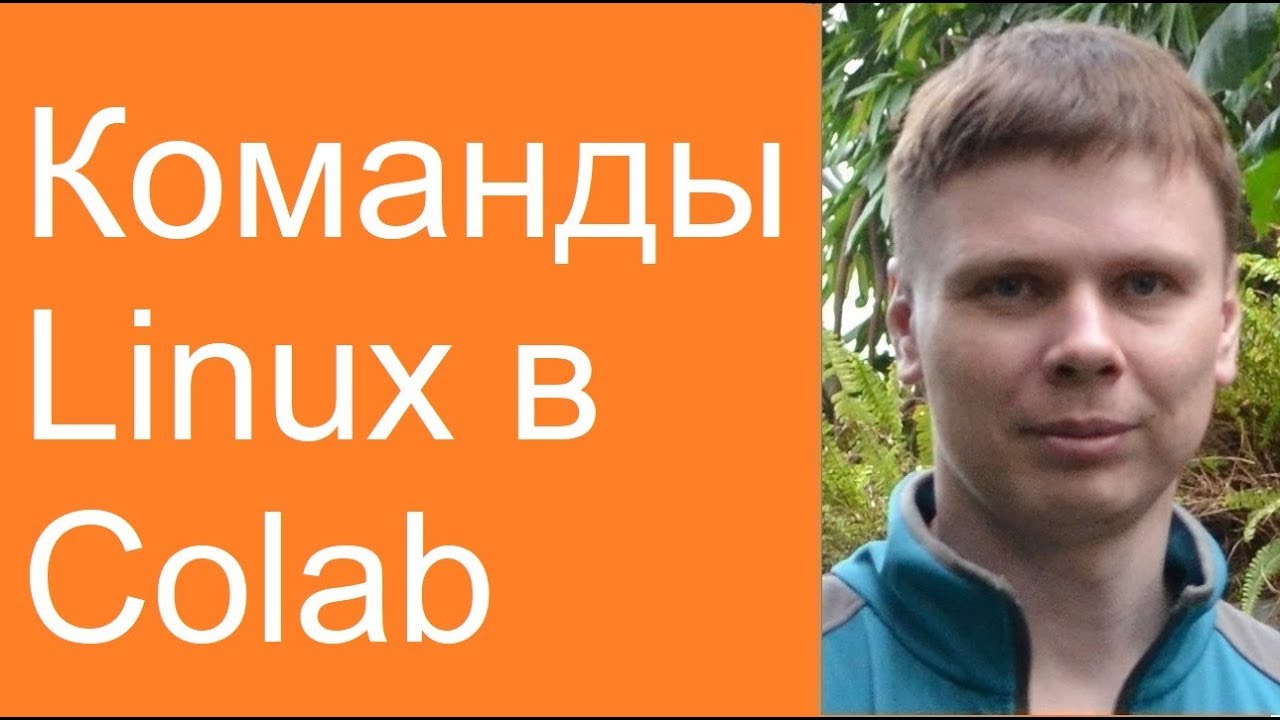 Команды Linux в Colab | Нейросети в Google Colab