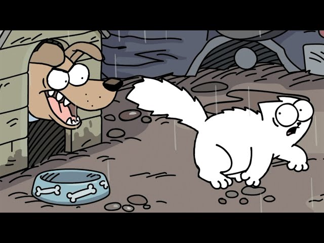 Simon's Cat - Lost Cat