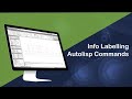 Quick Section Software – Info Labelling Autolisp Commands