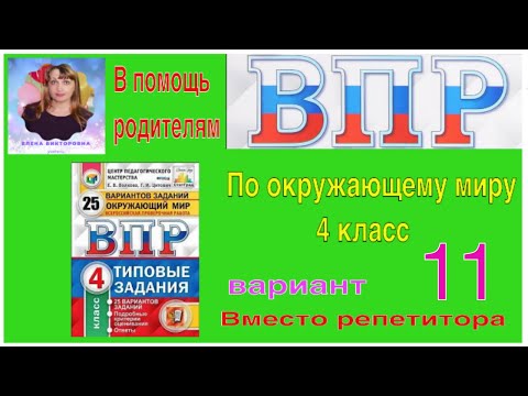 Видео: Мира Сорвино Собственный капитал: Вики, В браке, Семья, Свадьба, Заработная плата, Братья и сестры