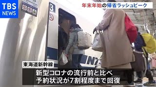 年末年始の帰省ラッシュピーク 東京駅も混雑