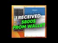 How Hackers Recover Forgotten Crypto Wallets | $5800 Found | Brute Force seed phrases