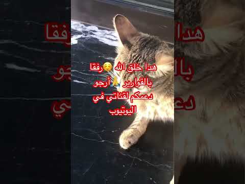 لااله الا انت سبحانك اني كنت من ظالمين رفقابالقوارير المغرب لايك اشتراك اكادير