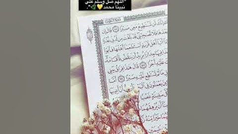 سورة الرحمن للشيخ احمد فهيم