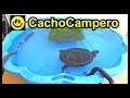 Cómo cuidar una tortuga de agua, qué necesita tu tortuga, hábitat, cuidados y necesidades básicas