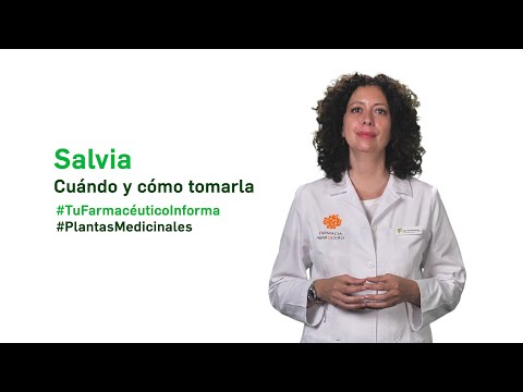 Video: ¿Cómo te preocupas por la salvia de otoño?