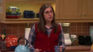The Big Bang Theory - The Collaboration Fluctuation S10E19 [1080p]