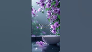 آيات من سورة الشرح 😍