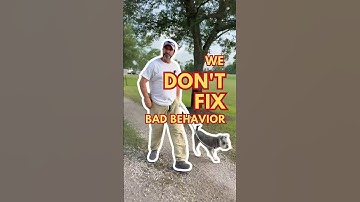 Dog Behavior Training: We Don’t Fix Bad Behavior, We Train the Dog You Want