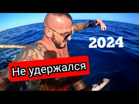 Египет 🇪🇬 НАПУГАЛ МЕНЕДЖЕРА Sharm Club Beach Resort 4* Хадаба Номер Обед Подводный мир