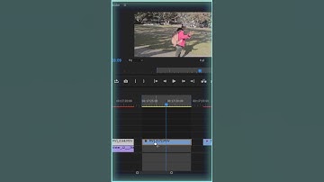 How to make stop motion with normal footage in premiere pro