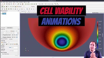 [ParaView Postprocessing 4] Animations (cell viability project)