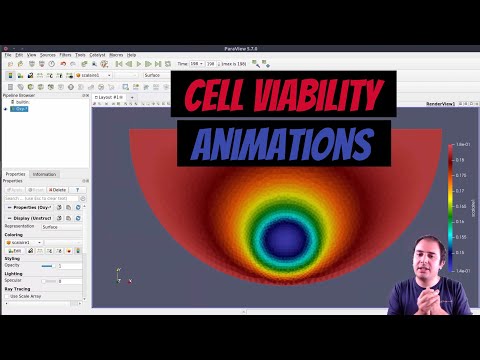 [ParaView Postprocessing 4] Animations (cell viability project)