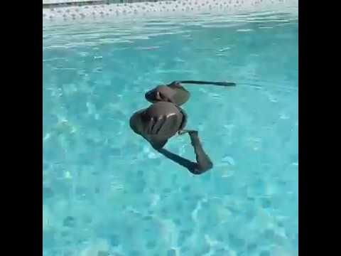 Amanda cerny pool