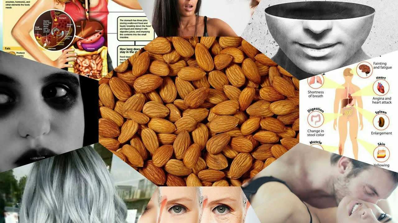 Benefits of Almonds Improve Sexual Vigor YouTube