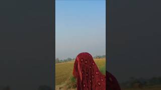 #love #like #photography #follow #instadaily #photooftheday #instalike #fashion #likeforlikes