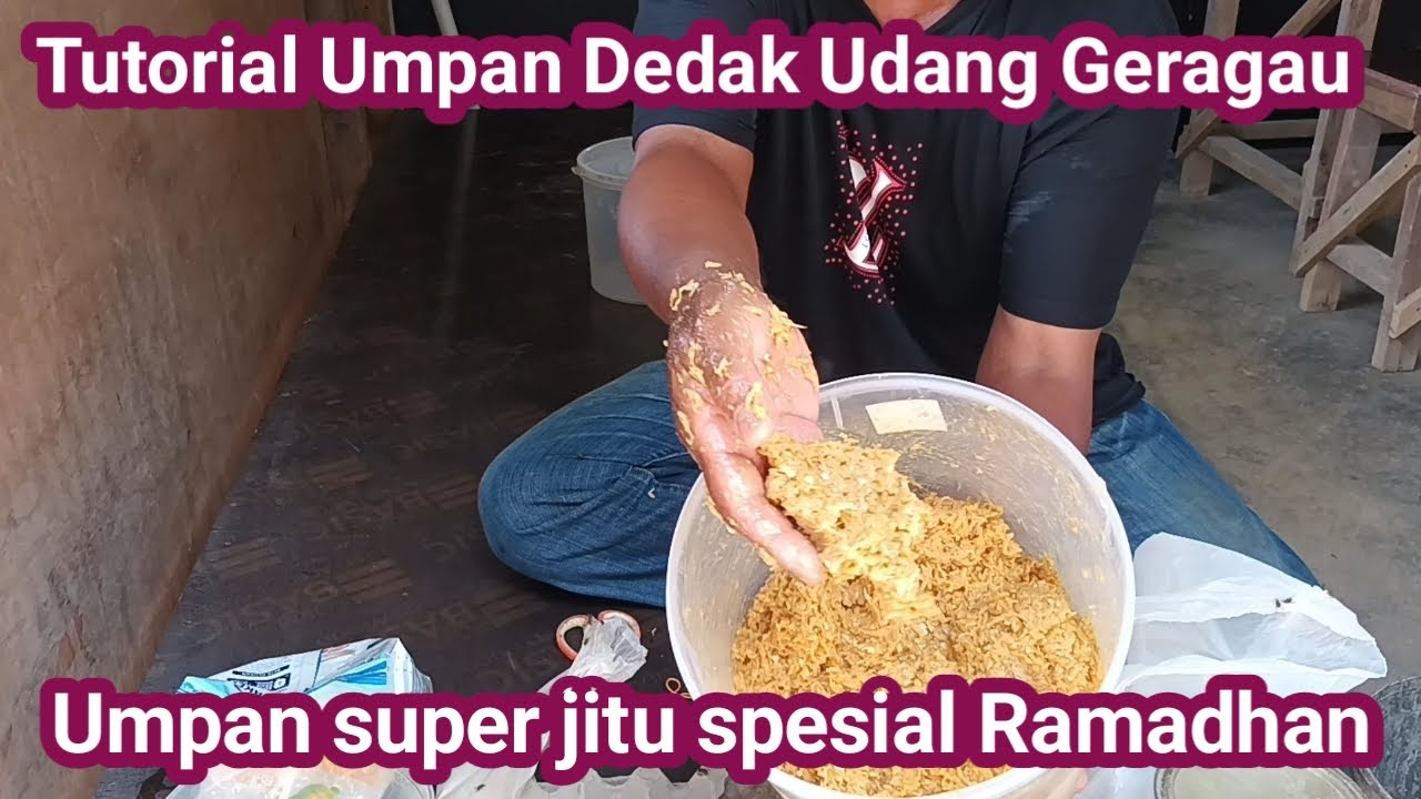 Tutorial Umpan Dedak Udang Geragau,umpan jitu galatama lele