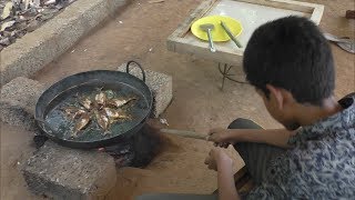 Village food factory Ayila MEEN Roast Cooking by my Family in my village Ayila MEEN FRY