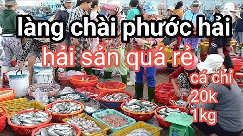 BIỂN PHƯỚC HẢI VŨNG TÀU // HẢI SẢN CỦA NGƯỜI DÂN MỚI BẮT VÀO BÁN QUÁ RẺ // QUÁ TUƠI