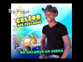 Celson Dos Teclados No Balanço Do Forró Vol.4 Parte 4
