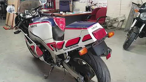 FZR1000 cold start and walk around.