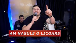 Dane Bogdan Live Band - Duminica Pastelui, Am nasule o licoare ( Cover N. Paleru - DBS 2024 )