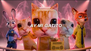 Ay mi Gatito Miau Miau | Zootopia | Official video Remix