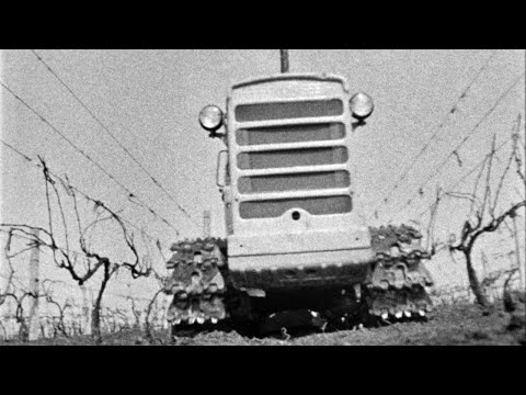 Плуг-рыхлитель виноградниковый универсальный ПРВМ-3, 1979