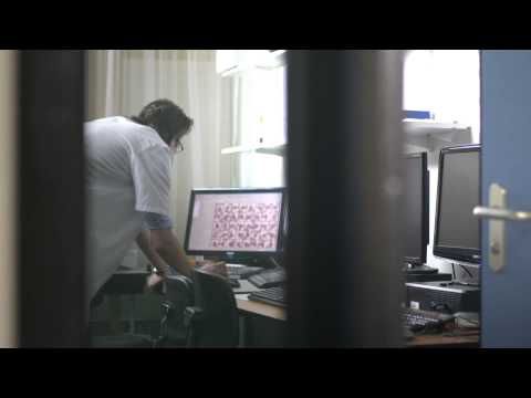 Sysmex Europe |