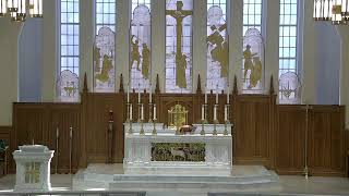 5th Sunday in Ordinary Time