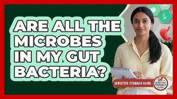 Are All The Microbes In My Gut Bacteria?