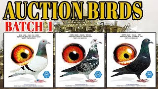 1ST BATCH NG AUCTION BIRDS NG TEAM ANSON ONG