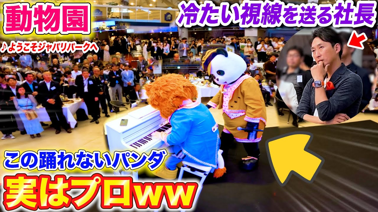 【ピアノドッキリ】動物園でダンス失敗したパンダがプロのピアニストだったら、、社長の冷たい視線も驚きに変わるんか？ byよみぃ（♪ようこそジャパリパークへ,めざせポケモンマスター…）