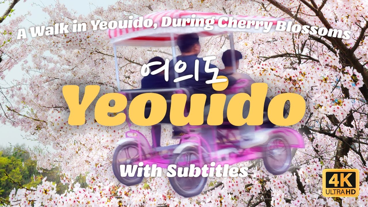Walk in Seoul【여의도】Cherry blossom in Yeouido | Relaxing walk | Korea visit [With Subtitles] 4K (Ep.1)