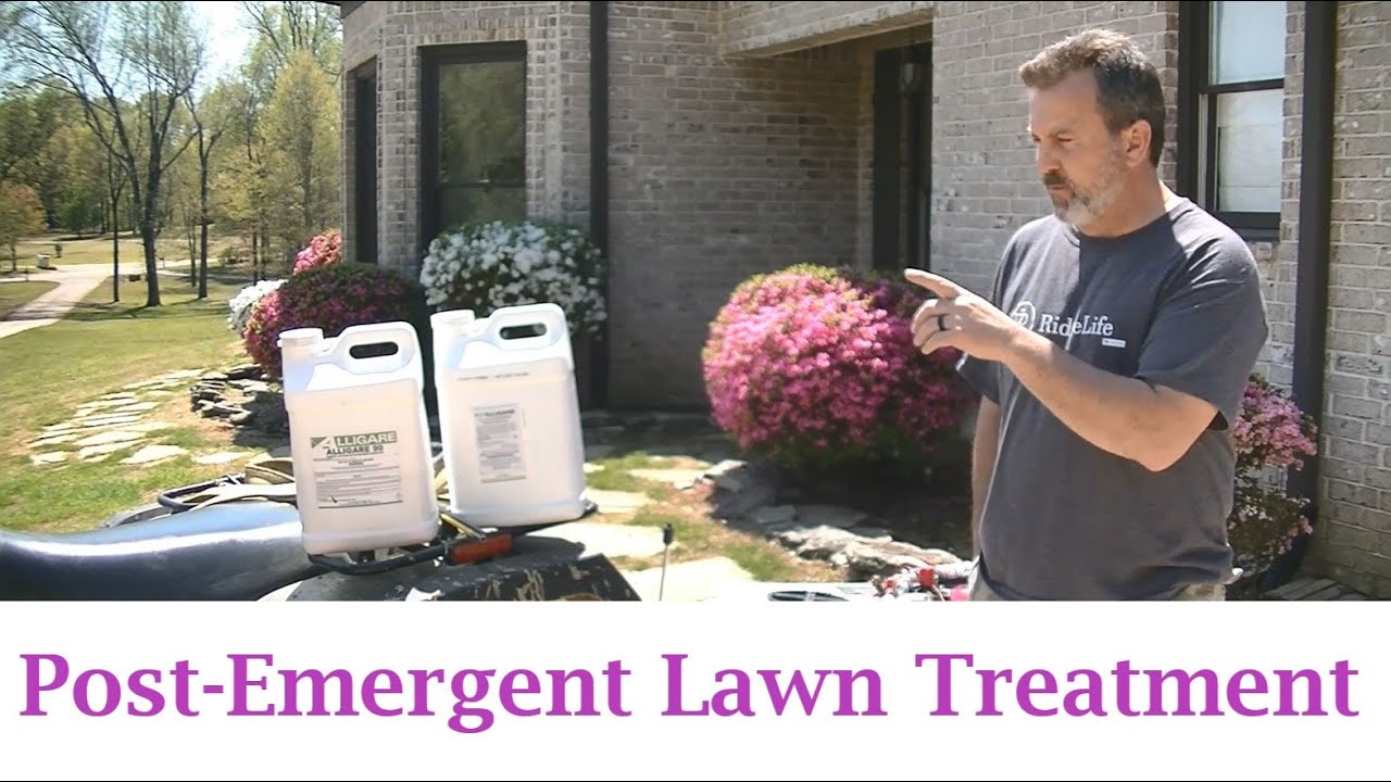 HOW TO Apply PostEmergent BroadLeaf Herbicide on Your Lawn (2,4D