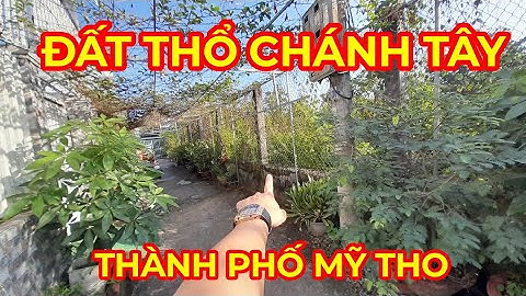 Tập 1805 Đất Thổ Chánh Tây Khu Dân Cư đông Đúc 