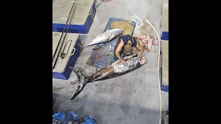 Offshore Fishing - Episode 13 - Angry Swordfish and Big Eye Tuna onboard Derwent Venture