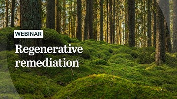 Regenerative Remediation – Restore, Reimagine, Renew