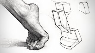 Constructing and Shading the Foot - Anatomy Assignment