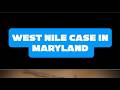 West Nile virus Maryland