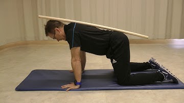 Quadruped weight shift