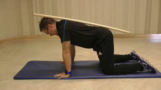 Quadruped weight shift