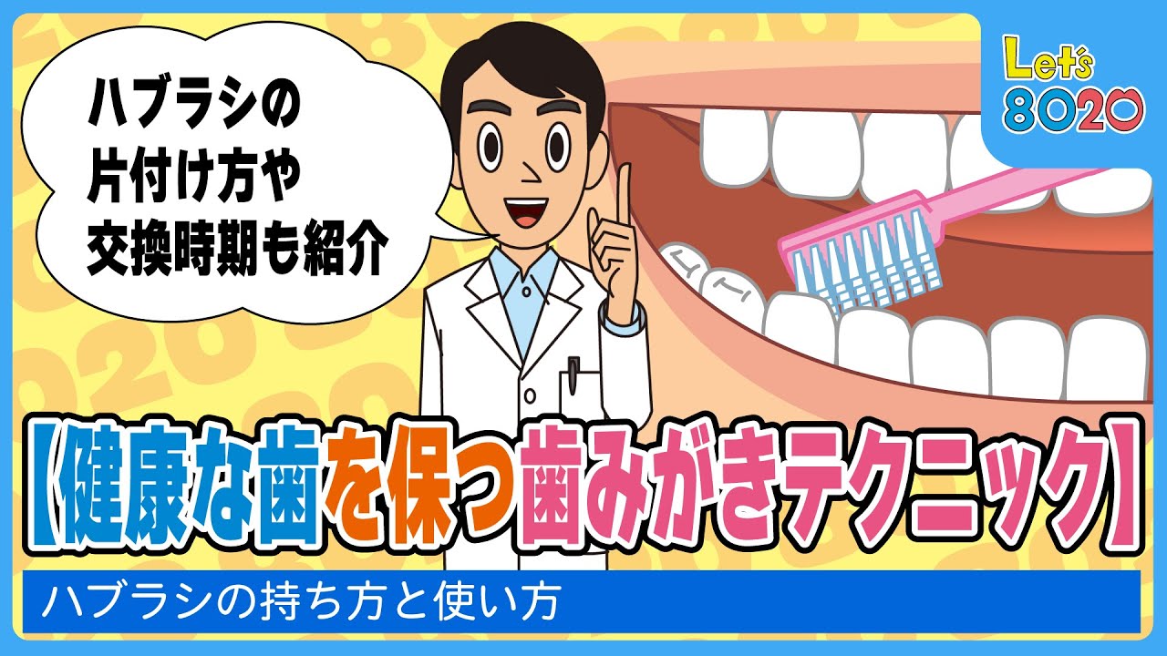 8020】健康な歯を保つ歯みがきテクニック - YouTube